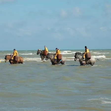 아파트 In St Idesbald With Sea Views, Cleaning Included *