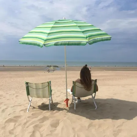 In St Idesbald With Sea Views, Cleaning Included 아파트 *