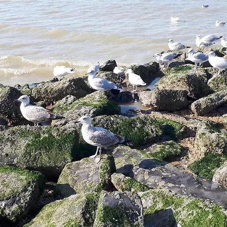 Apartamento In St Idesbald With Sea Views, Cleaning Included *